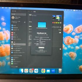 Apple MacBook Air 13インチ 2018 本体
