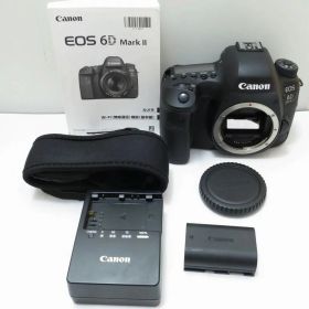 【全品ポイント10倍！要エントリー】【期間限定セール】キヤノン Canon デジタル一眼レフ EOS 6D Mark II 【中古】