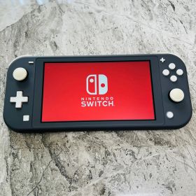 【完動品】Nintendo Switch lite グレー