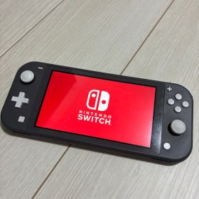Switch Lite 本体 動作確認済