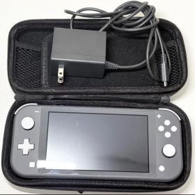 【美品】 Nintendo Switch Lite グレー 本体 ケース付き