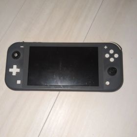 Nintendo Switchライトジャンク品