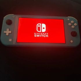 ⭐︎値下げ前提⭐︎Nintendo Switch Lite 本体 ターコイズ