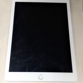 iPad 第5世代 Wi-Fi+Cellular シルバー ジャンク品★充電ケーブル付
