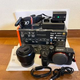 【良品/回数12812】SONY α7III レンズ・ケージ・高級SD付