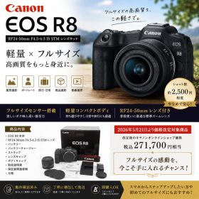 極美品Canon EOS R8 RF24-50mmF4.5-6.3 IS STM