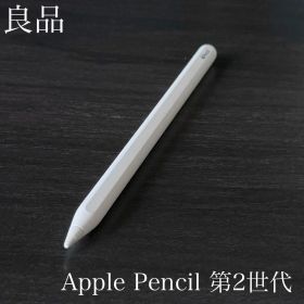 良品 正常動作品 Apple Pencil 第2世代 MU8F2J/A r9