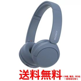 SONY ワイヤレスヘッドホン WH-CH520(L)【SS4548736142855】