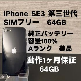 極美品 64GB Apple iPhone SE 3 第三世代 日本版 se3