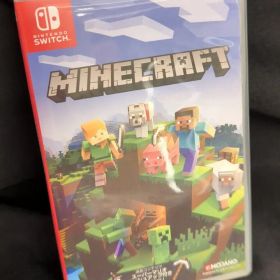 NS Minecraft (マインクラフト)