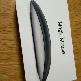美品 Magic Mouse2 ブラック 本体 箱付き