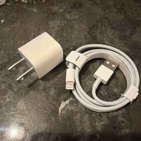 Apple純正 EarPods Lightning 有線イヤホン XS付属