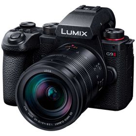 パナソニック Panasonic ミラーレス一眼カメラ DC-G9M2L