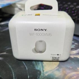 SONY WF-1000XM6 ワイヤレスイヤホン 本体