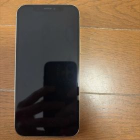 Apple iPhone 12 Pro 本体