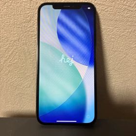 Apple iPhone 12 Pro 本体