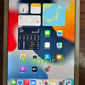 Apple iPad Air 2 16GB ゴールド 本体