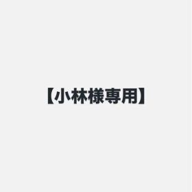 【小林様専用】スプラトゥーン3