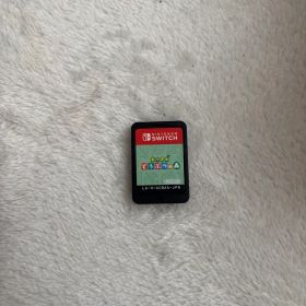 り*ま様 Nintendo Switch あつまれ どうぶつの森 ソフト