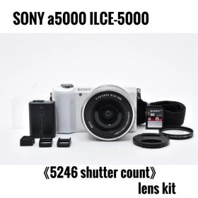 SONY a5000 ILCE-5000 ズームキット ショット5246回