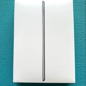 Apple iPad 第6世代 32GB Wi-Fi 本体
