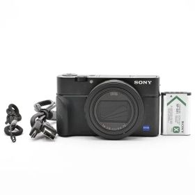 ＜美品＞ソニー SONY DSC-RX100M6 Cyber-shot