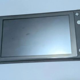Nintendo Switch Lite 本体 グレー