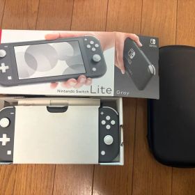 Nintendo Switch Lite グレー 本体 ケース付き