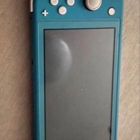 Switchライト 本体 ジャンク品