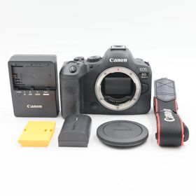 シャッター数32000枚 Canon EOS R6 Mark II ボディ ミラーレス一眼レフカメラ キヤノン