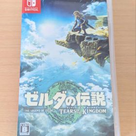 ゼルダの伝説 ティアーズ オブ ザ キングダム Switch ティアキン