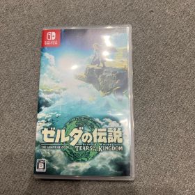 ゼルダの伝説 ティアーズ オブ ザ キングダム