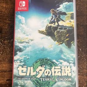 ゼルダの伝説 ティアーズ オブ ザ キングダム Switch