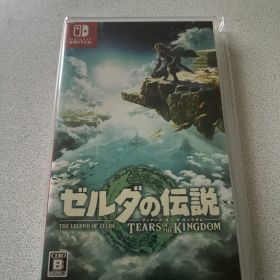 ゼルダの伝説 ティアーズ オブ ザ キングダム Switch