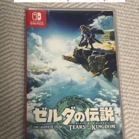 ゼルダの伝説 ティアーズ オブ ザ キングダム