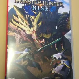 Nintendo Switch モンスターハンター ライズ 動作確認済み