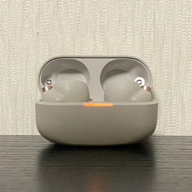 SONY WF-1000XM4 ワイヤレスイヤホン 本体 両耳動作確認済