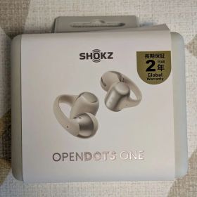 Shokz OpenDots One ワイヤレスイヤホン 本体 グレー