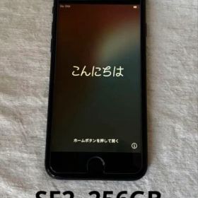 iPhone SE2 256GB 本体のみ (パネル、バッテリーは非純正)