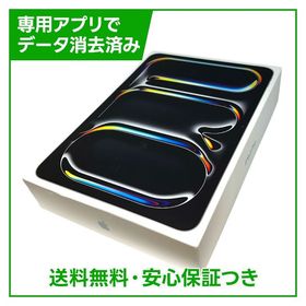 【バッテリー100%】iPadPro 11インチ第6世代（M5） Wi－Fi 256GB シルバー