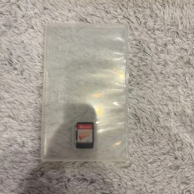 Nintendo Switch Ring Fit Adventure