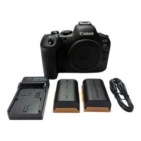【極上美品】Canon EOS R6 Mark II ボディ バッテリー2個