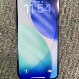 Apple iPhone 15 Pro Max 1TB 本体