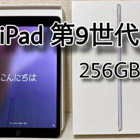 Apple iPad 第9世代 256GB (箱付き)