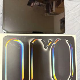Apple 11インチ iPad Pro (M4) 本体