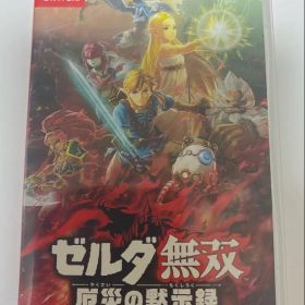 ゼルダ無双 厄災の黙示録