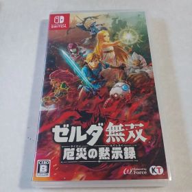 ゼルダ無双 厄災の黙示録 Nintendo Switch