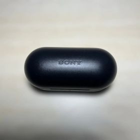 SONY ワイヤレスイヤホン WF-C710N
