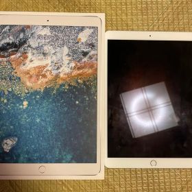 Apple iPad Pro 10.5インチ本体 シルバージャンク