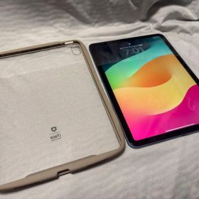iPad Air 第5世代 256GB Wi-Fi + Cellula